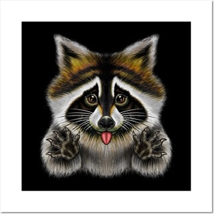 Cute raccoonn Posters and Art